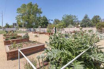 Community garden